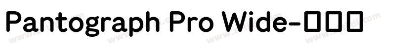 Pantograph Pro Wide字体转换